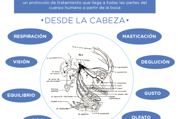 regulación función aragao