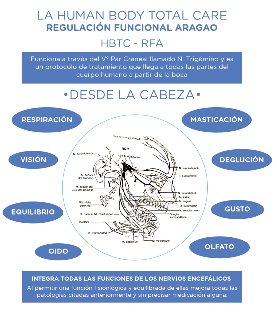 regulación función aragao